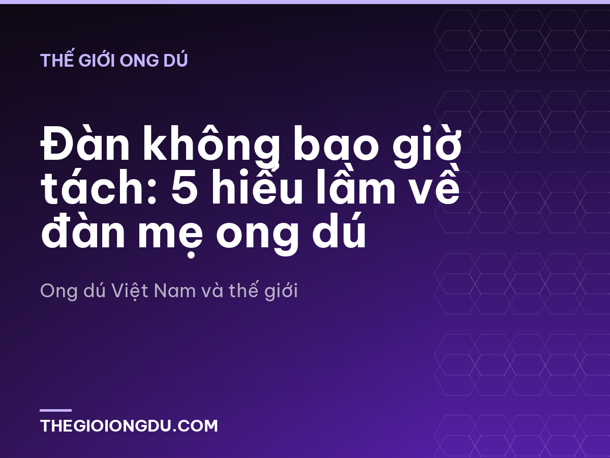 Đàn không bao giờ tách: 5 hiểu lầm về đàn mẹ ong dú