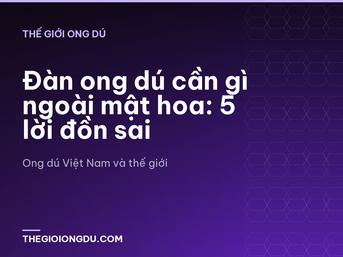 Đàn ong dú cần gì ngoài mật hoa: 5 lời đồn sai