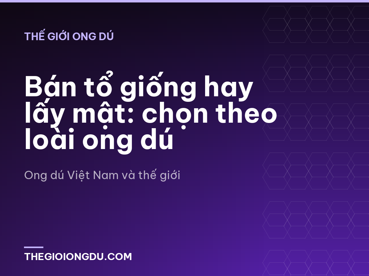 Bán tổ giống hay lấy mật: chọn theo loài ong dú