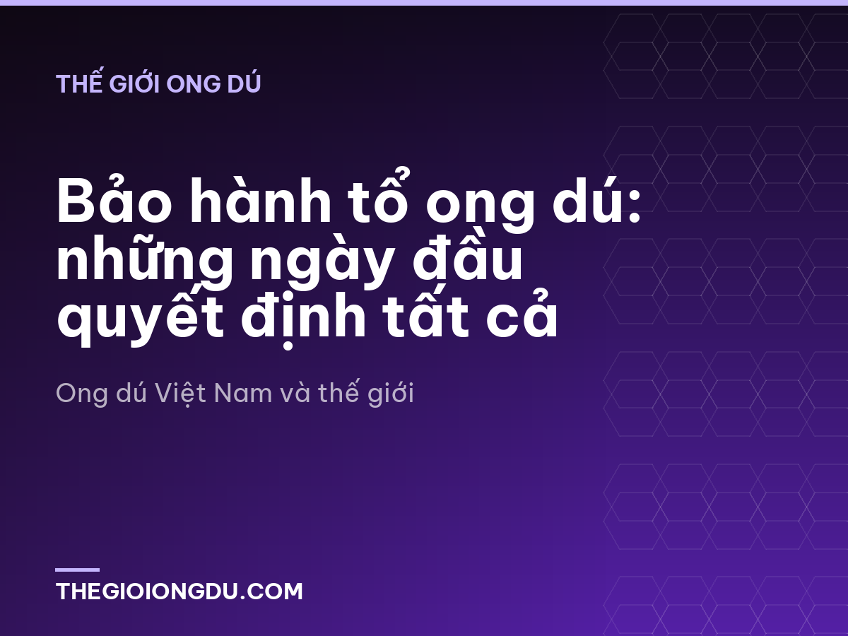 Bảo hành tổ ong dú: những ngày đầu quyết định tất cả
