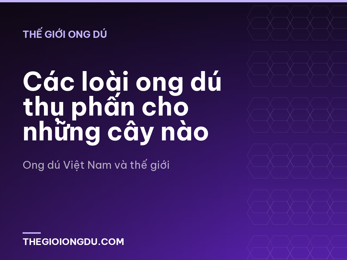 Các loài ong dú thụ phấn cho những cây nào