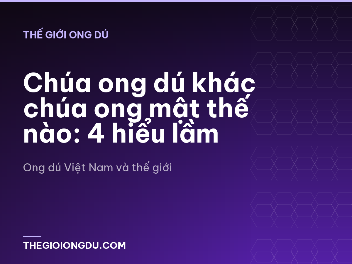 Chúa ong dú khác chúa ong mật thế nào: 4 hiểu lầm