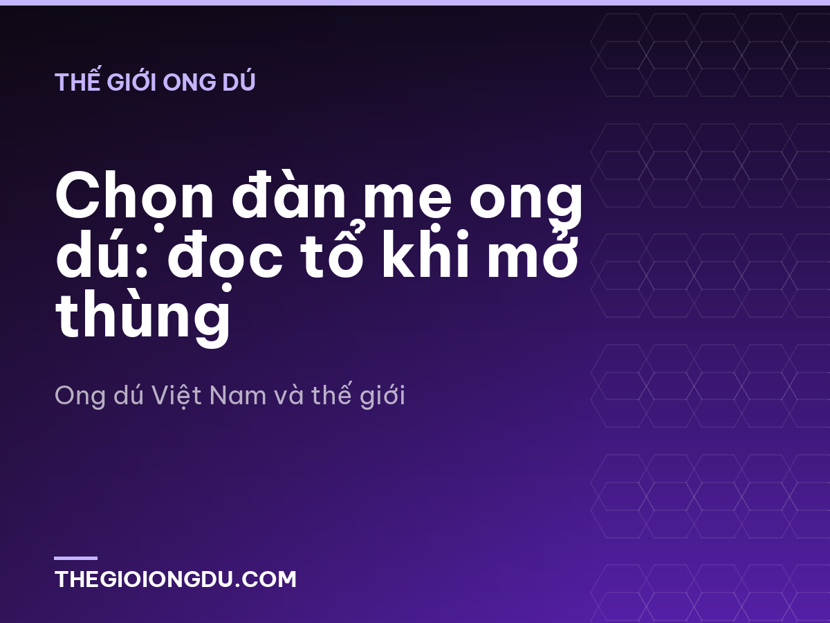 Chọn đàn mẹ ong dú: đọc tổ khi mở thùng