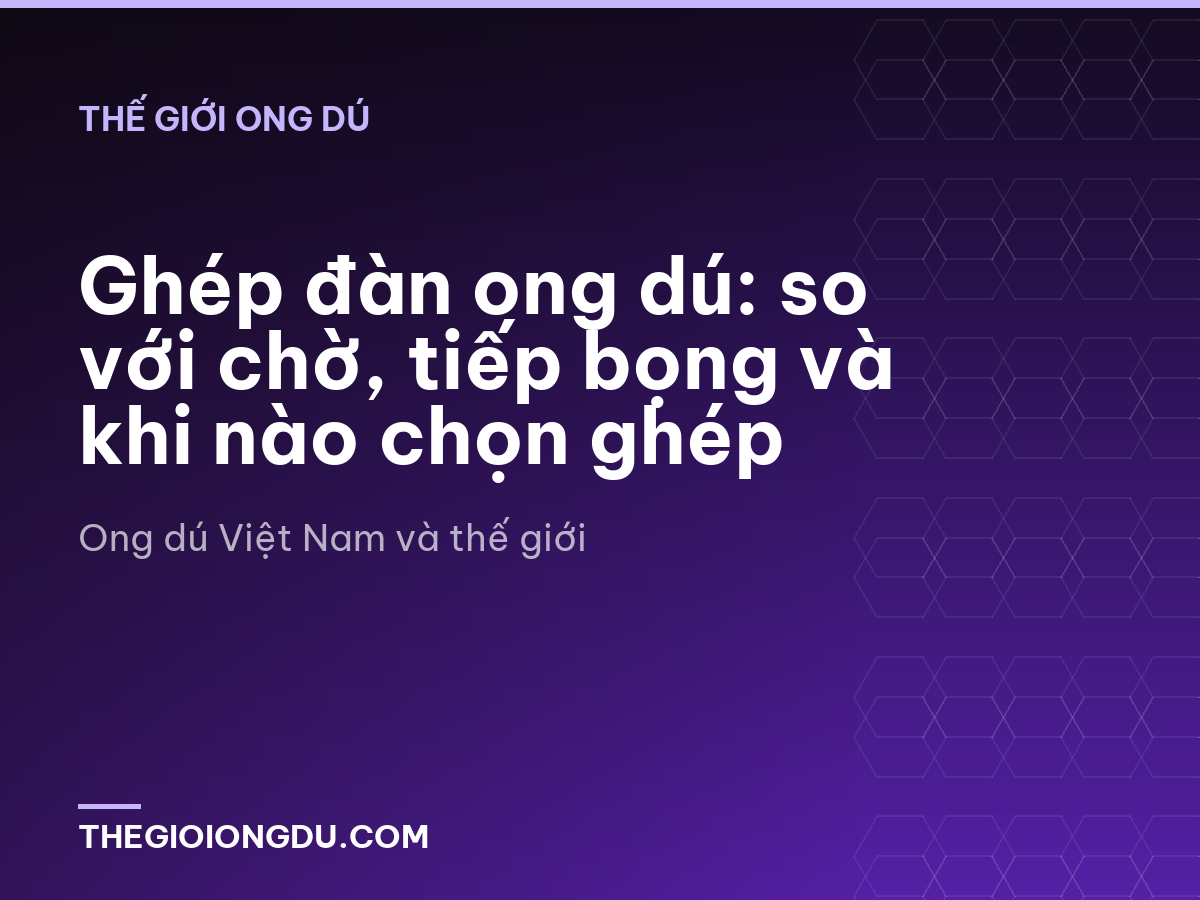 Ghép đàn ong dú: so với chờ, tiếp bọng và khi nào chọn ghép
