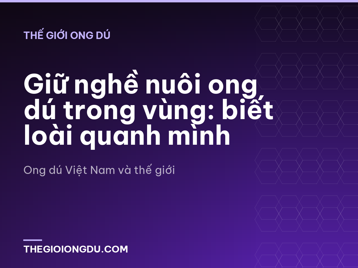 Giữ nghề nuôi ong dú trong vùng: biết loài quanh mình