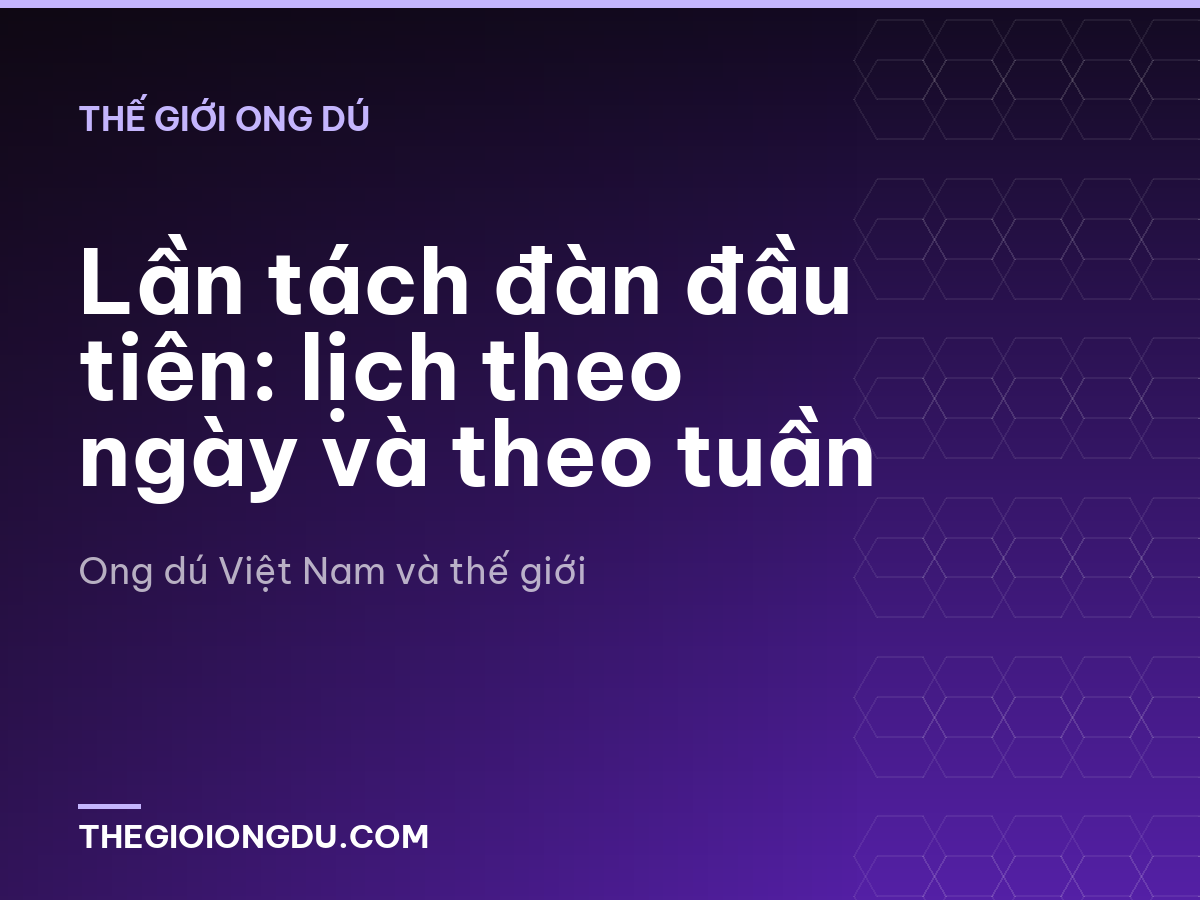 Lần tách đàn đầu tiên: lịch theo ngày và theo tuần