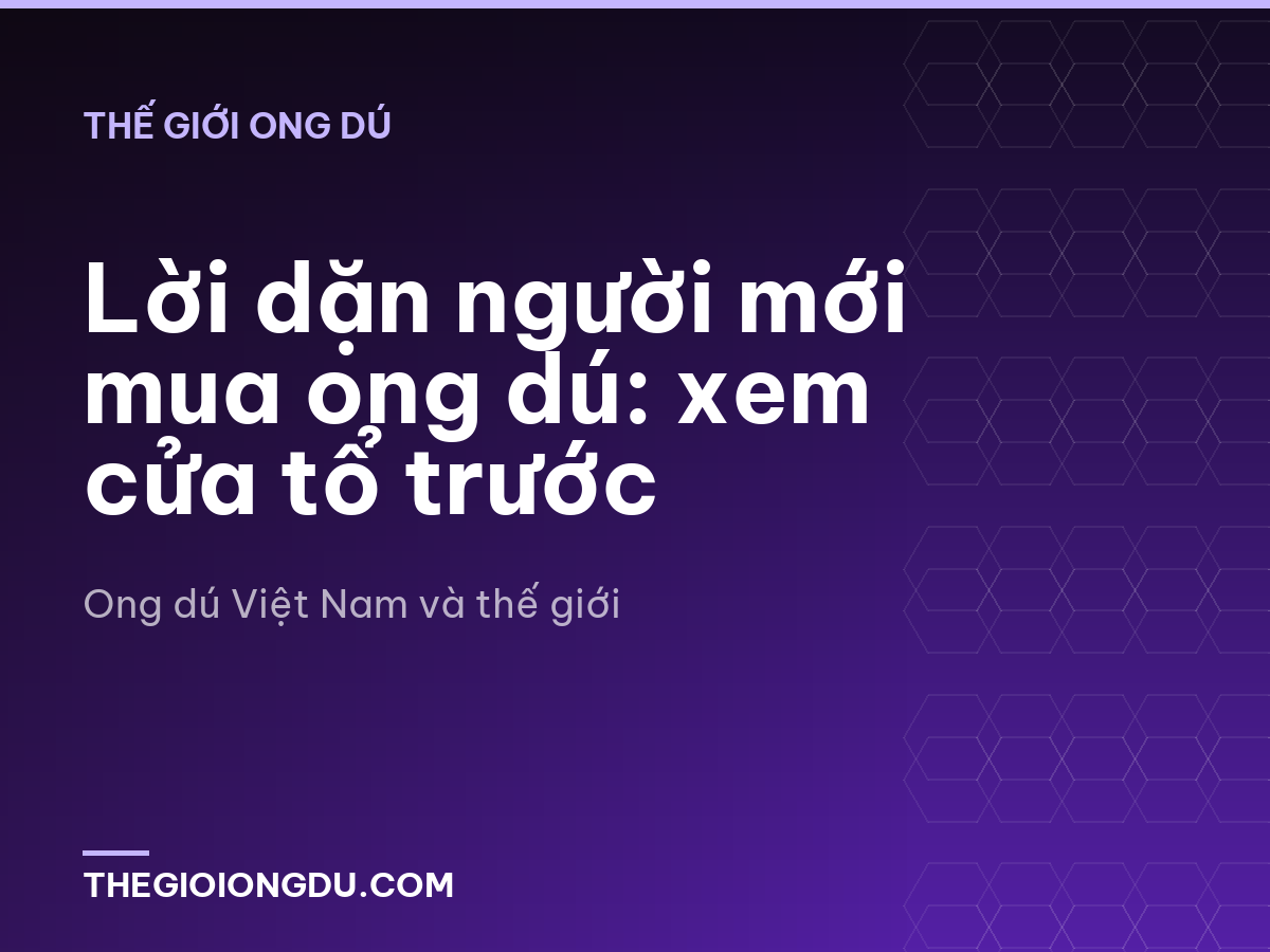 Lời dặn người mới mua ong dú: xem cửa tổ trước