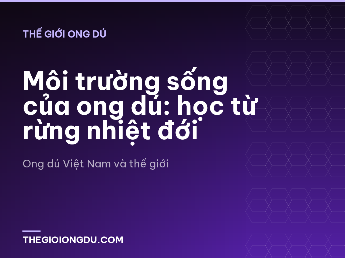 Môi trường sống của ong dú: học từ rừng nhiệt đới