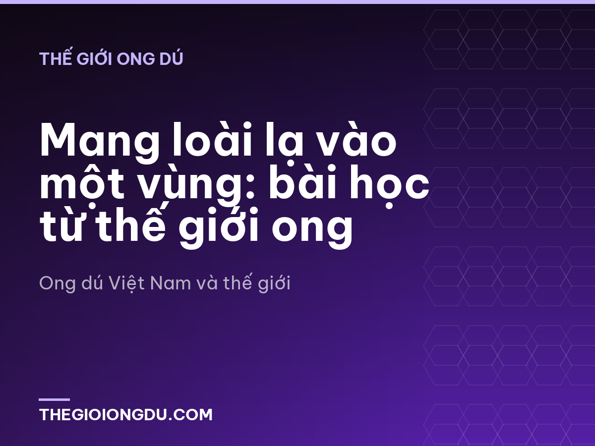 Mang loài lạ vào một vùng: bài học từ thế giới ong
