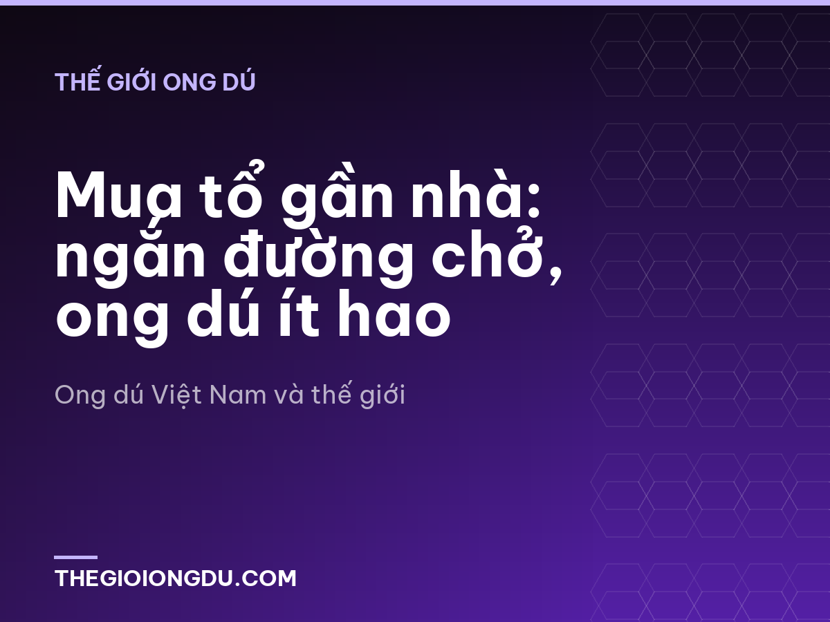 Mua tổ gần nhà: ngắn đường chở, ong dú ít hao