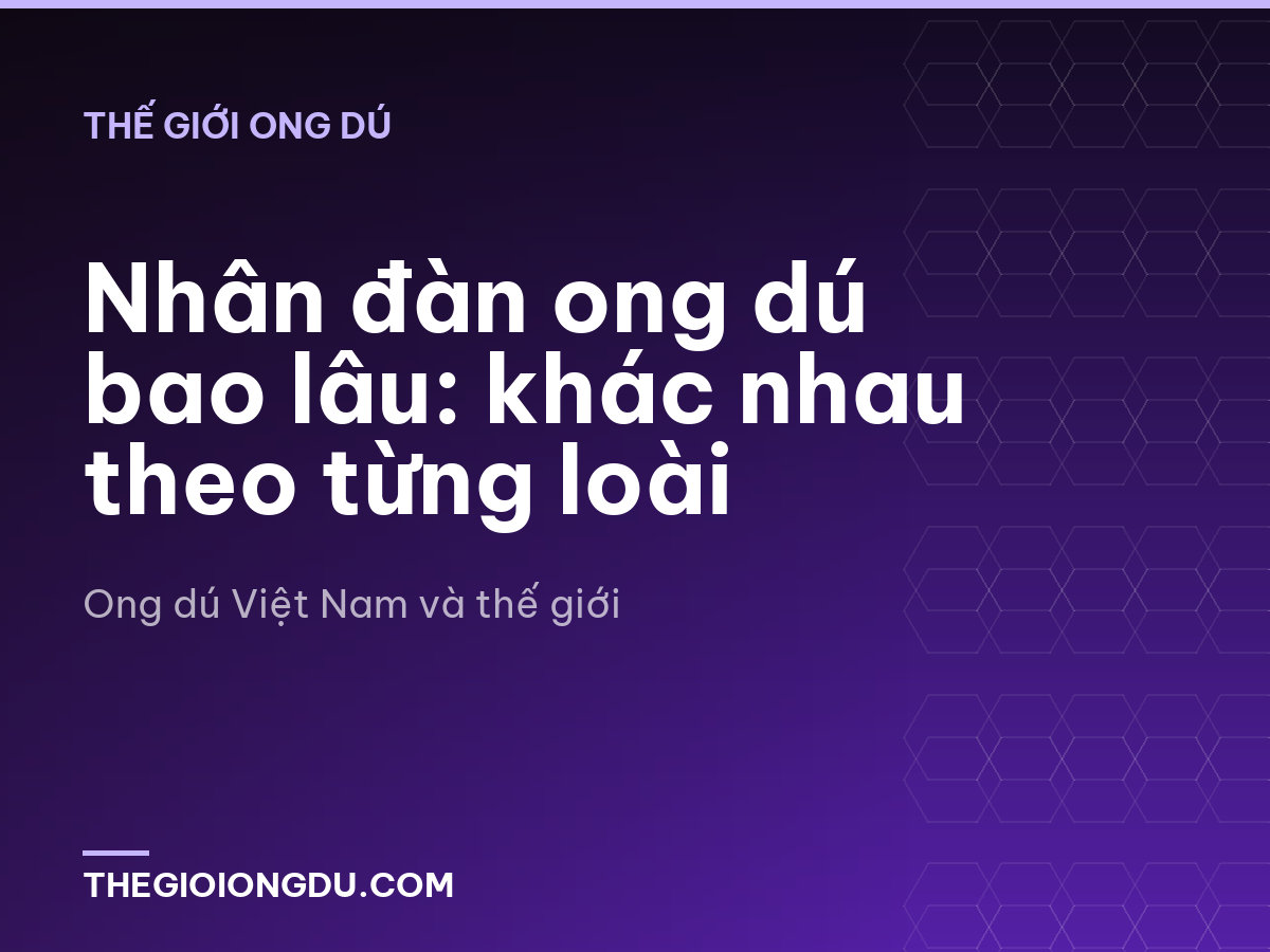 Nhân đàn ong dú bao lâu: khác nhau theo từng loài