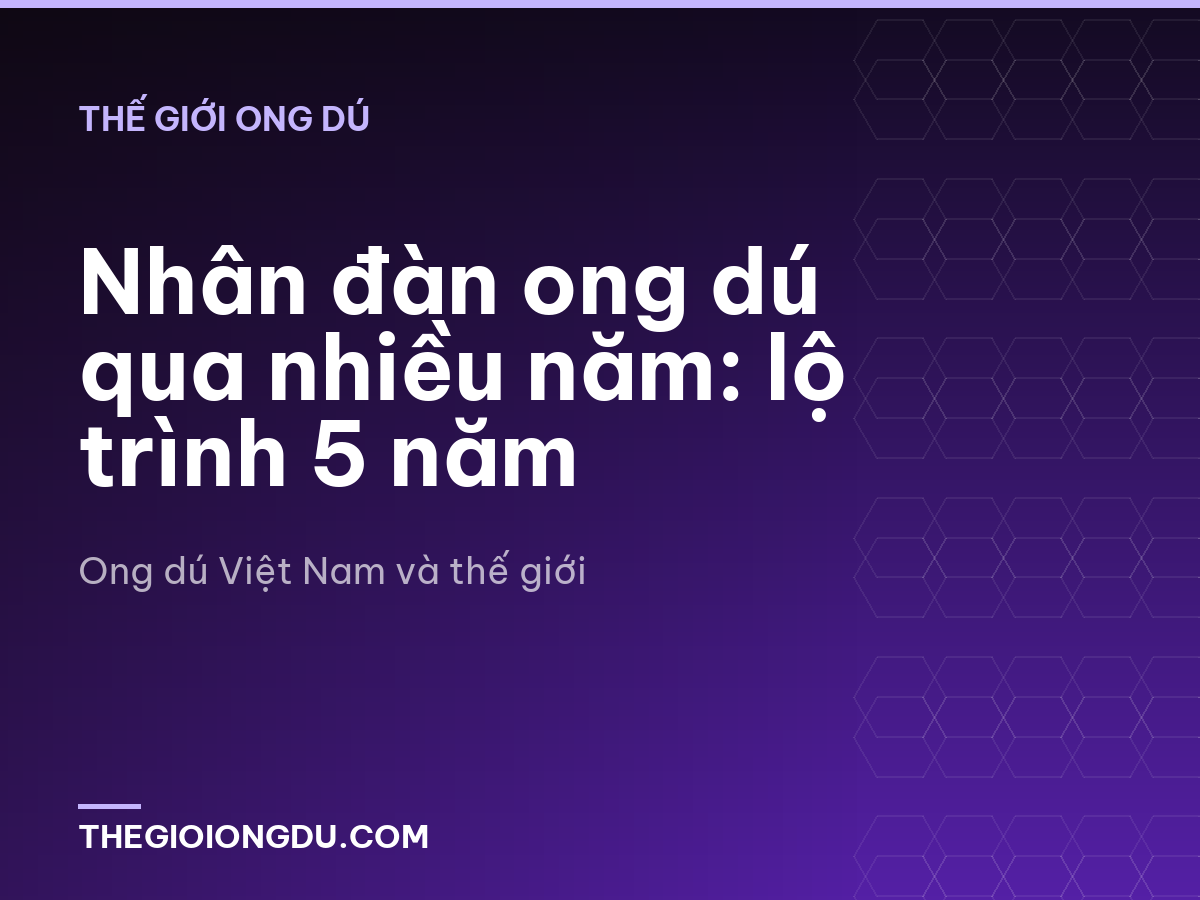 Nhân đàn ong dú qua nhiều năm: lộ trình 5 năm