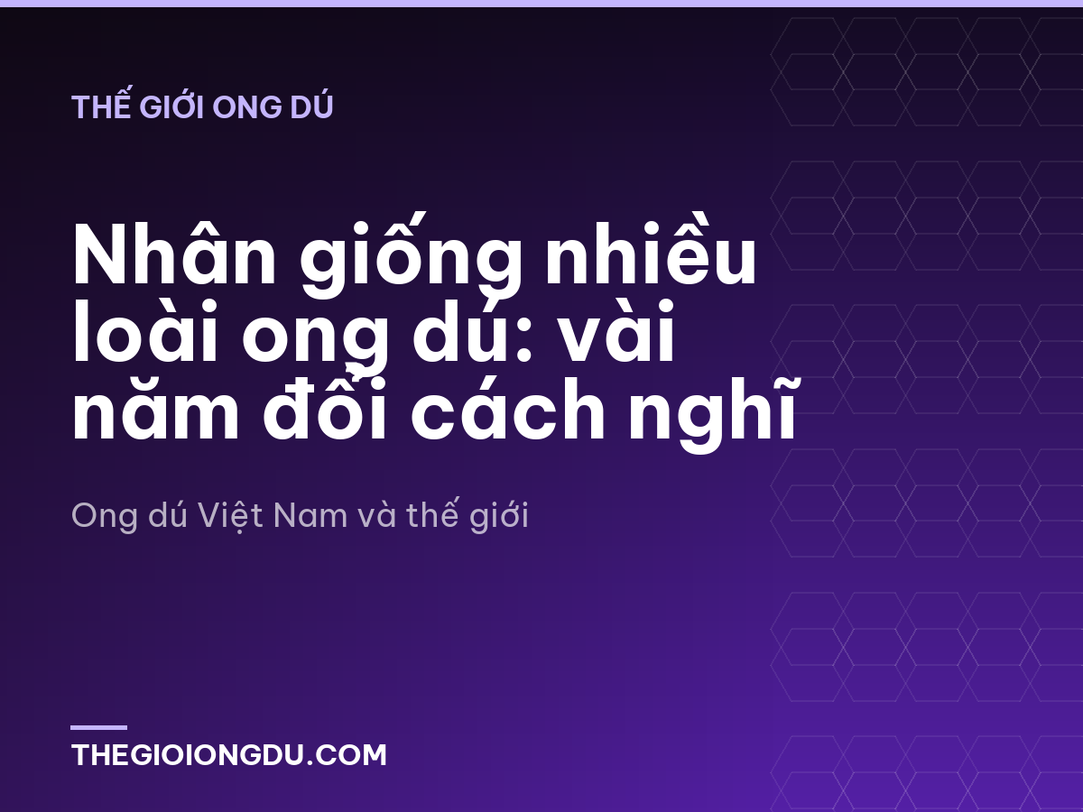 Nhân giống nhiều loài ong dú: vài năm đổi cách nghĩ