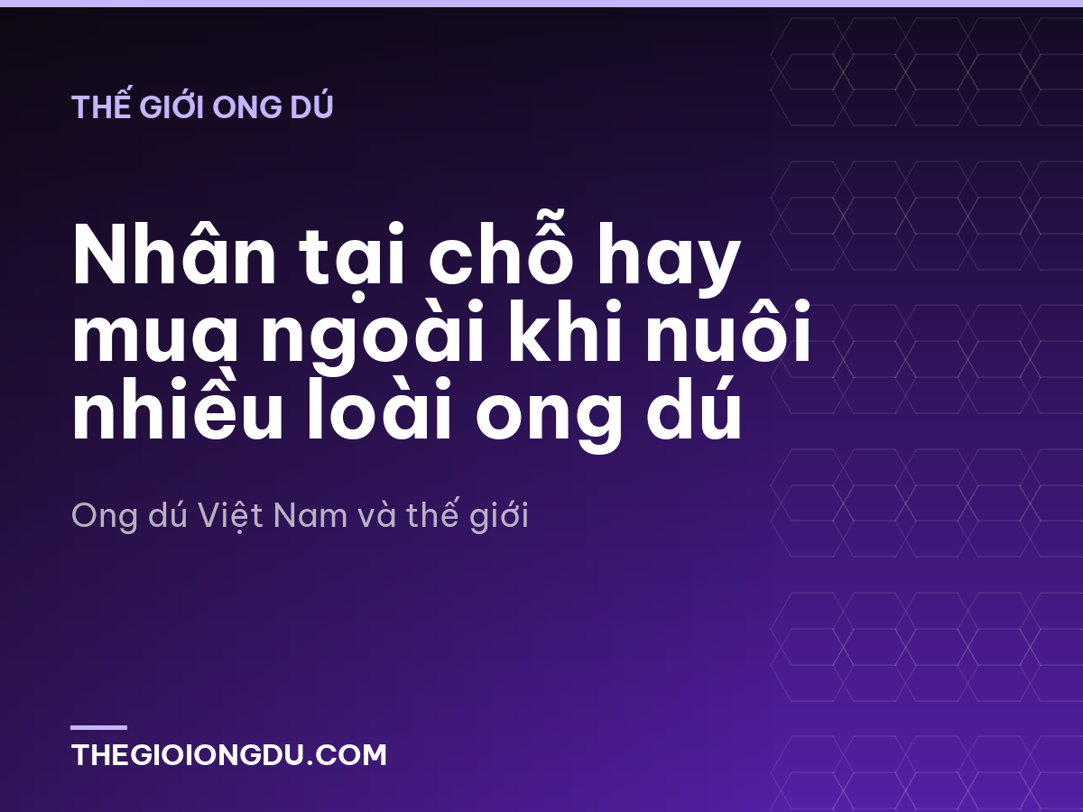 Nhân tại chỗ hay mua ngoài khi nuôi nhiều loài ong dú