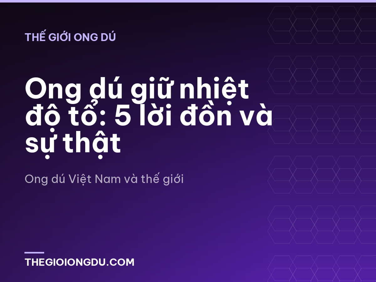 Ong dú giữ nhiệt độ tổ: 5 lời đồn và sự thật