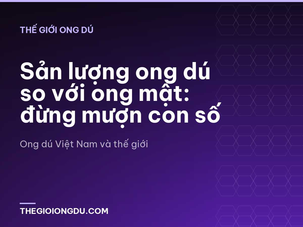 Sản lượng ong dú so với ong mật: đừng mượn con số
