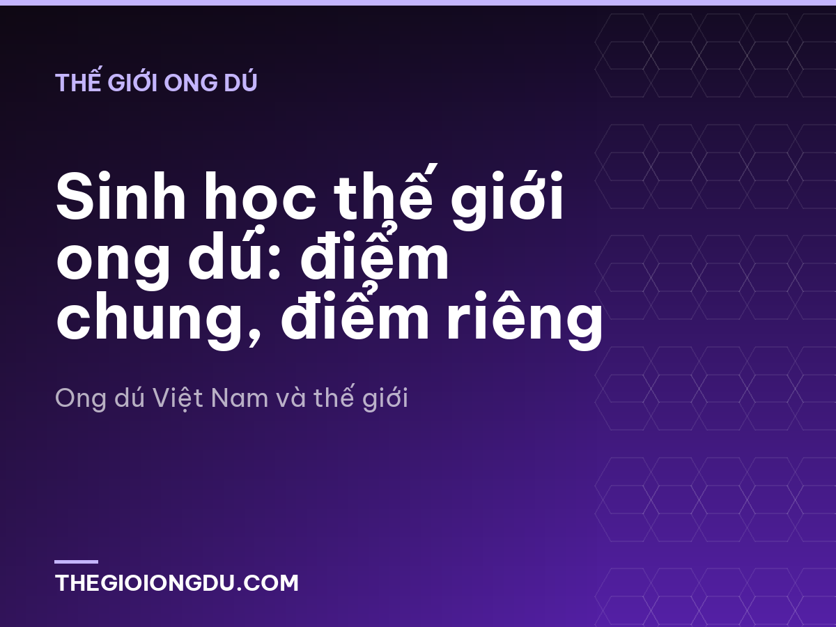 Sinh học thế giới ong dú: điểm chung, điểm riêng