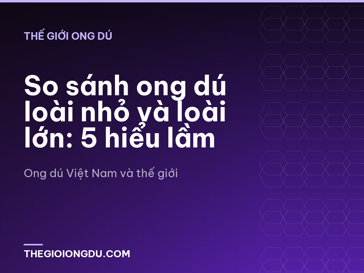 So sánh ong dú loài nhỏ và loài lớn: 5 hiểu lầm
