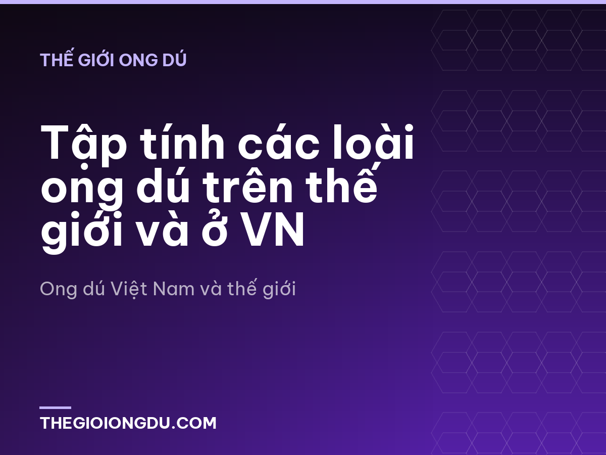 Tập tính các loài ong dú trên thế giới và ở VN