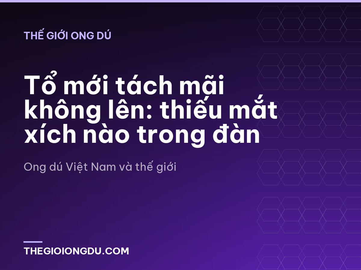 Tổ mới tách mãi không lên: thiếu mắt xích nào trong đàn