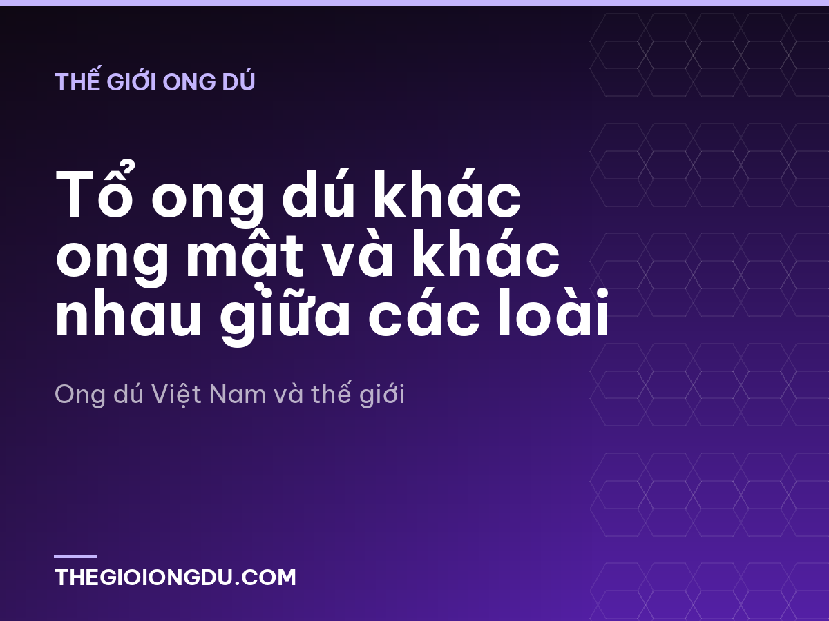 Tổ ong dú khác ong mật và khác nhau giữa các loài