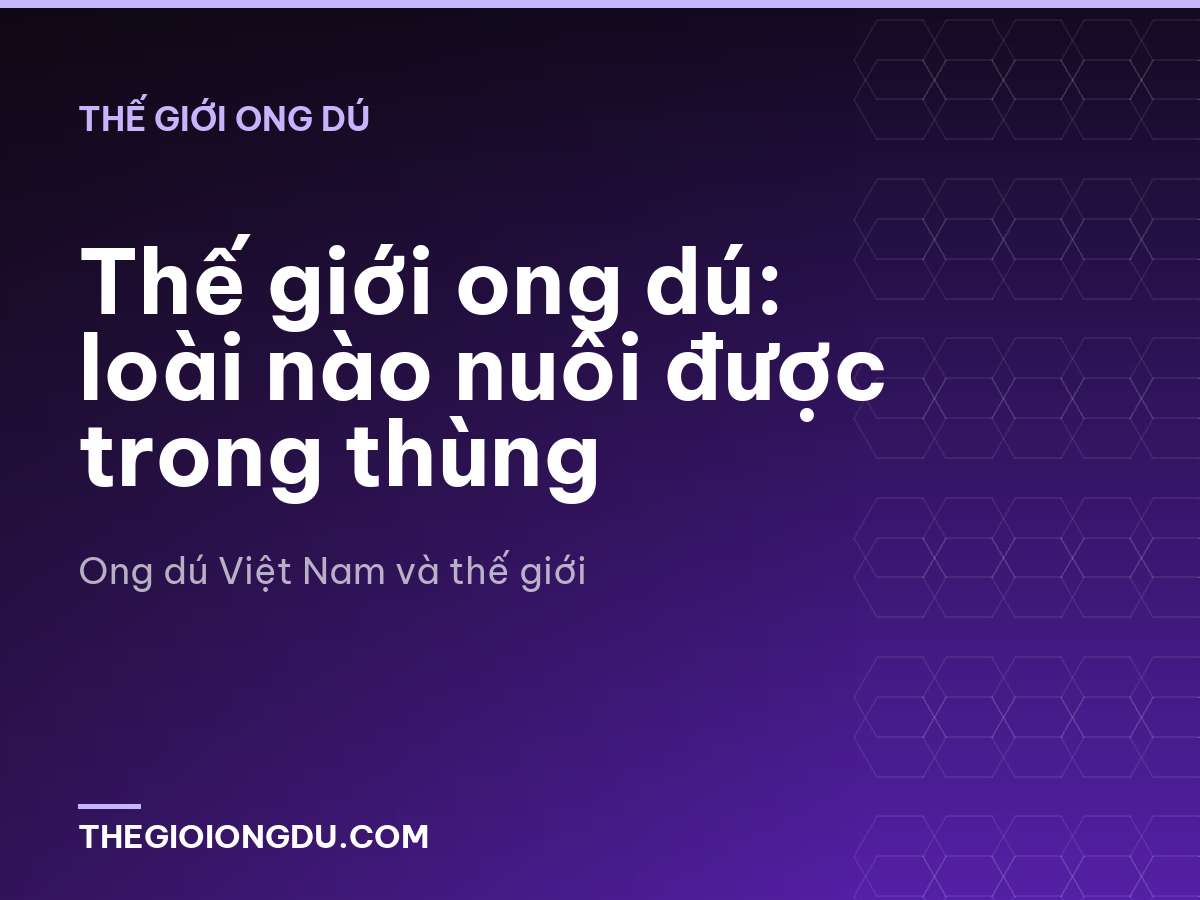 Thế giới ong dú: loài nào nuôi được trong thùng