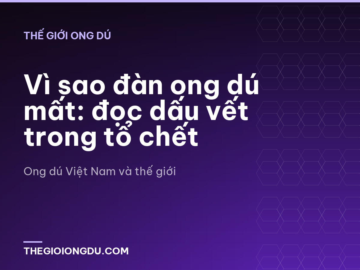 Vì sao đàn ong dú mất: đọc dấu vết trong tổ chết