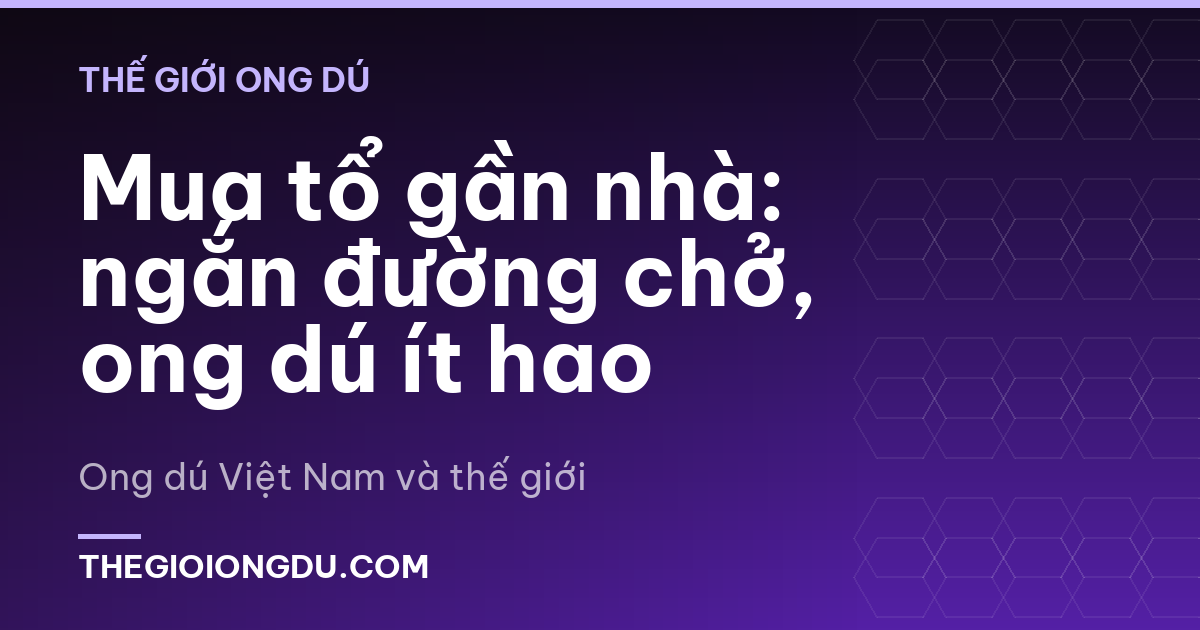 Mua tổ gần nhà: ngắn đường chở, ong dú ít hao