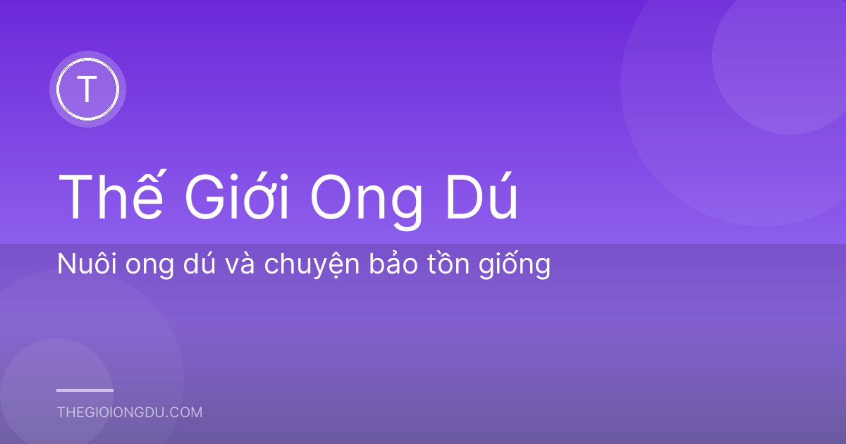Nuôi ong dú và chuyện bảo tồn giống