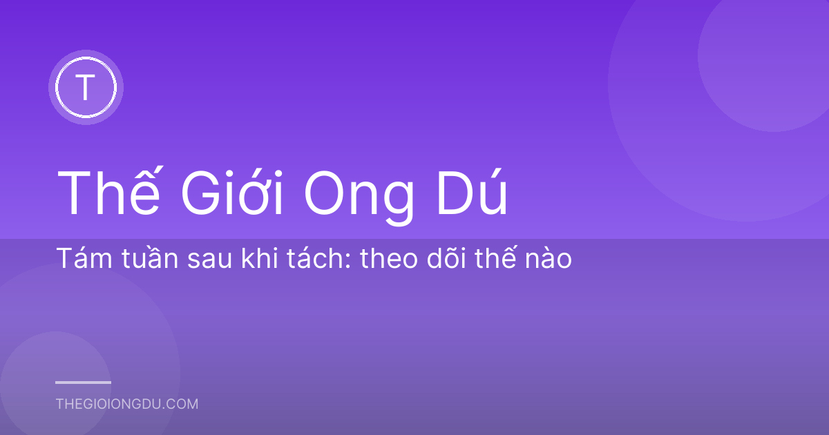 Tám tuần sau khi tách: theo dõi thế nào