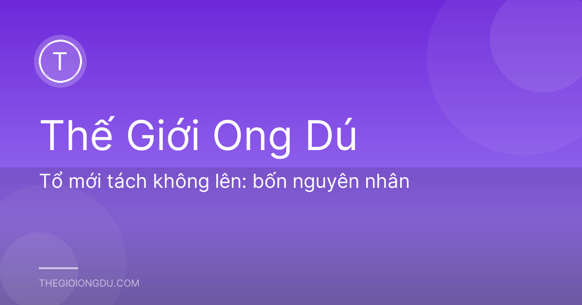Tổ mới tách không lên: bốn nguyên nhân