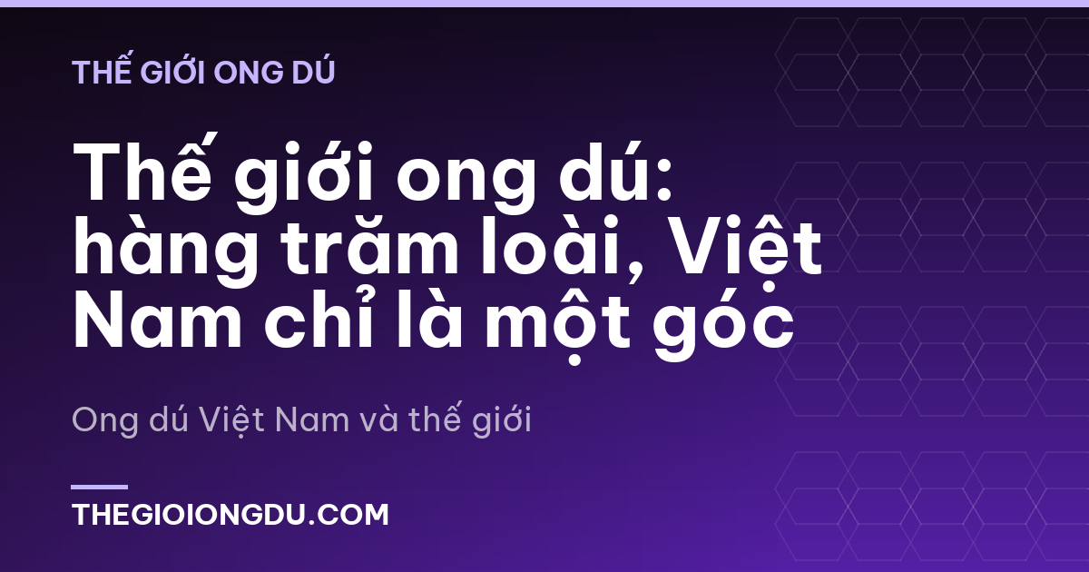 Thế giới ong dú: hàng trăm loài, Việt Nam chỉ là một góc