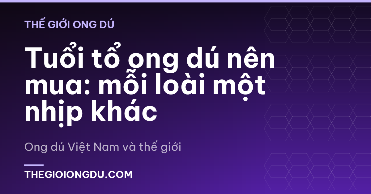 Tuổi tổ ong dú nên mua: mỗi loài một nhịp khác